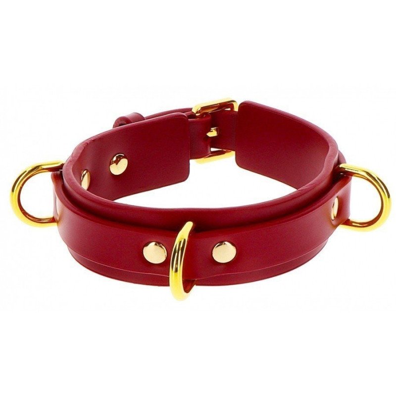 Taboom Collier BDSM D Ring Rouge et Or La Clef des Charmes