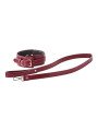 Blaze Elite Collier et Laisse Simili Cuir Rouge