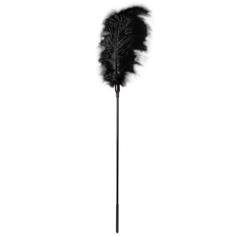 Grande Plume d'Autruche Noire Accessoire Coquin