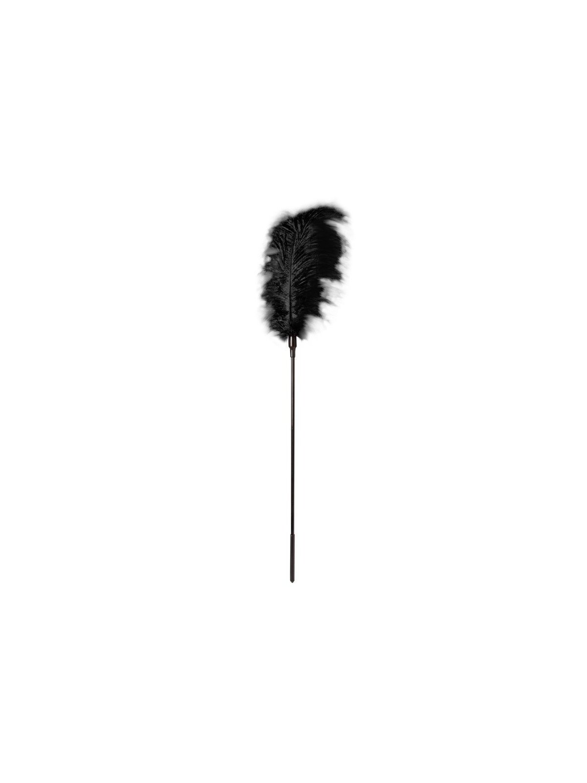 Grande Plume d'Autruche Noire Accessoire Coquin