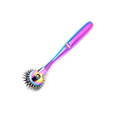 Roulette Wartenberg 3 Roues à Aiguilles Rainbow