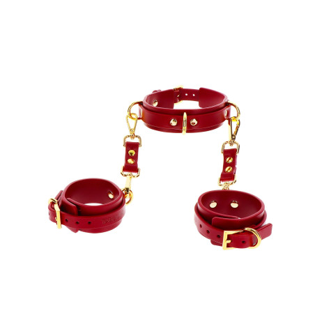 Taboom Collier D Ring et Menottes Poignets Bondage in Luxury