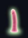 Gode Réaliste Modèle 2 15,4 cm Phosphorescent SilexD