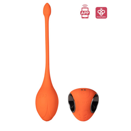 Lili Oeuf Vibrant Connecté Honey Play Box