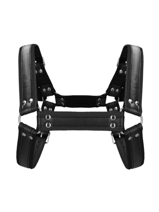 Harnais Chest Buckle Bulldog en Cuir Noir Ouch!