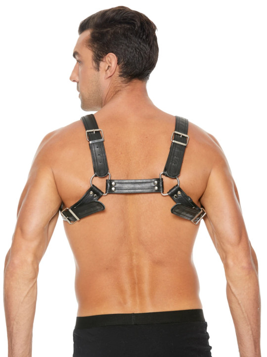 Harnais Chest Buckle Bulldog en Cuir Noir Ouch!