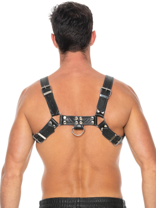 Harnais Bulldog avec Anneau en Cuir Noir Ouch!