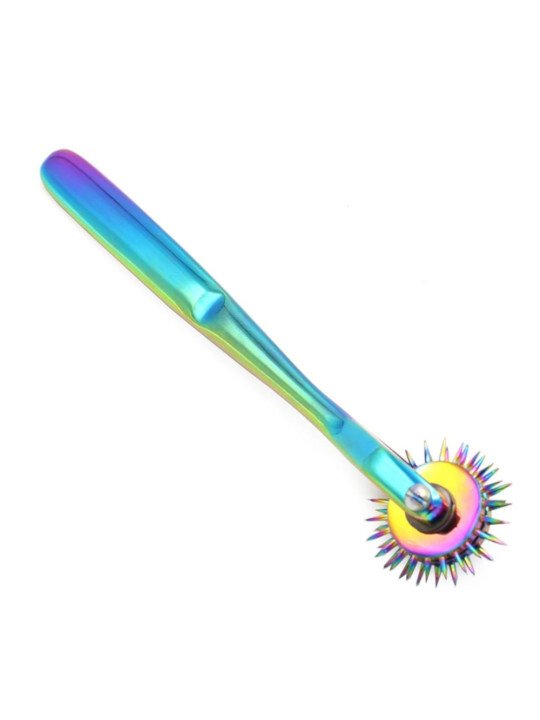 Roulette de Wartenberg 2 Roues à Aiguilles Rainbow