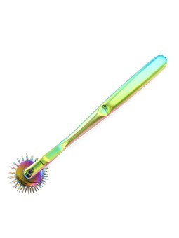 Roulette de Wartenberg 2 Roues à Aiguilles Rainbow