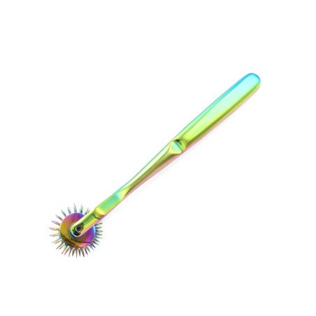 Roulette de Wartenberg 2 Roues à Aiguilles Rainbow