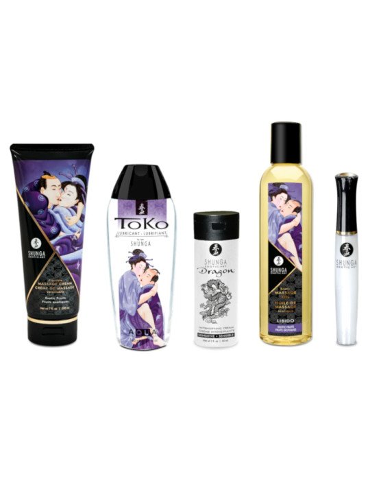 Coffret Plaisirs Charnels Shunga