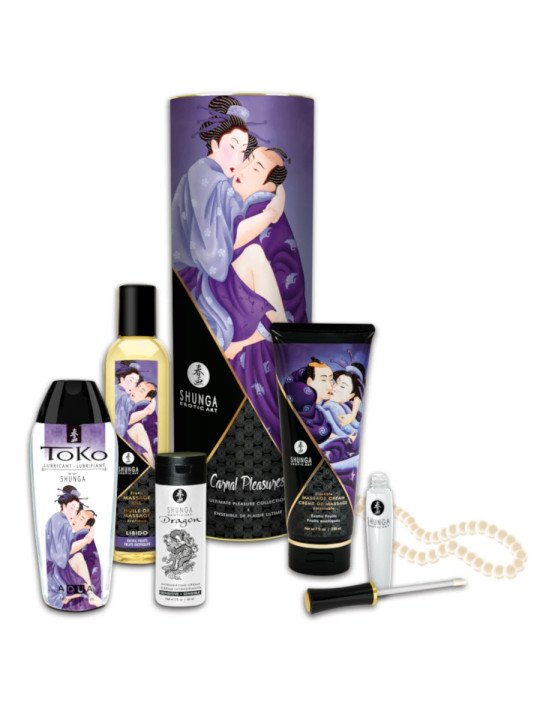 Coffret Plaisirs Charnels Shunga