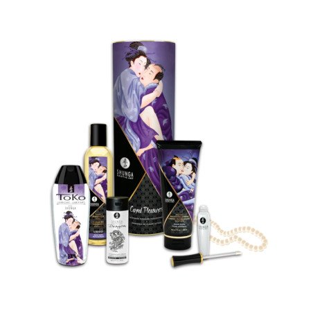 Coffret Plaisirs Charnels Shunga