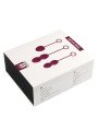 SVAKOM Coffret de 3 boules de geisha NOVA Violet. La Clef des Charmes