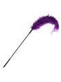 SPORTSHEETS Ostrich Tickler Violet. La Clef des Charmes Lovestore