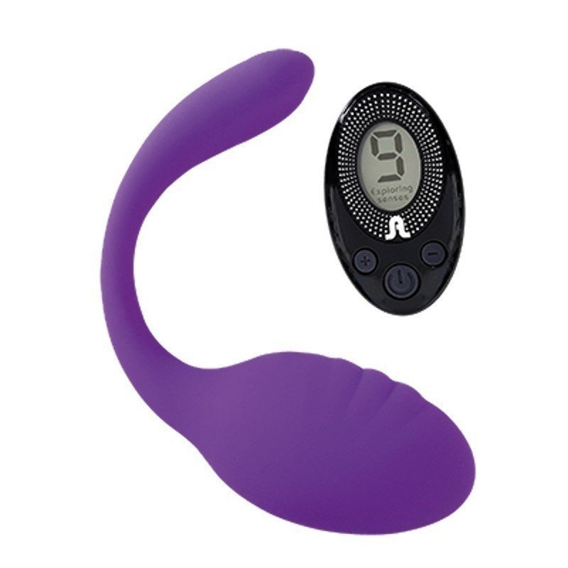 Oeuf Vibrant Rechargeable SMART DREAM II + Télécommande LRS